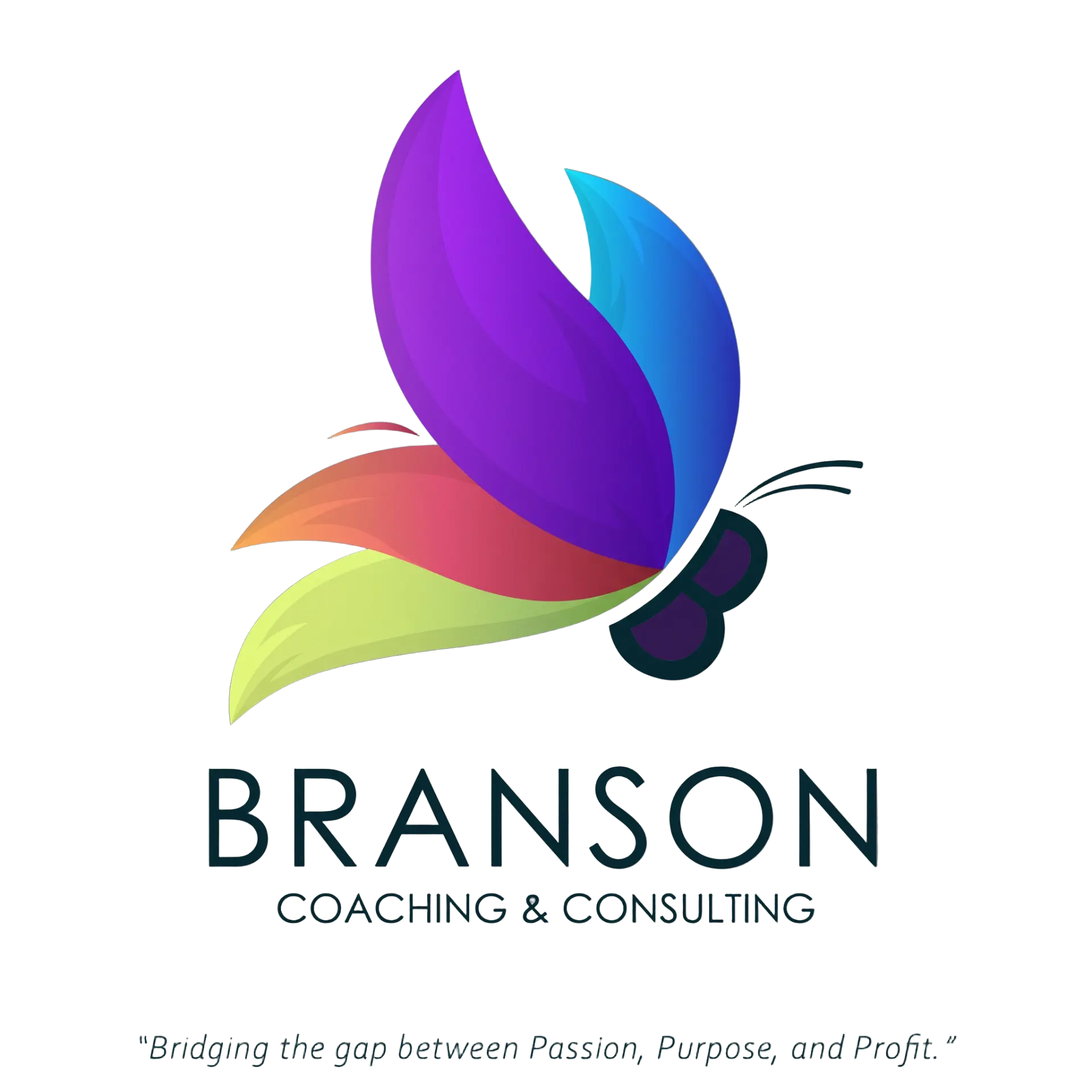 Branson Coaching & Consulting